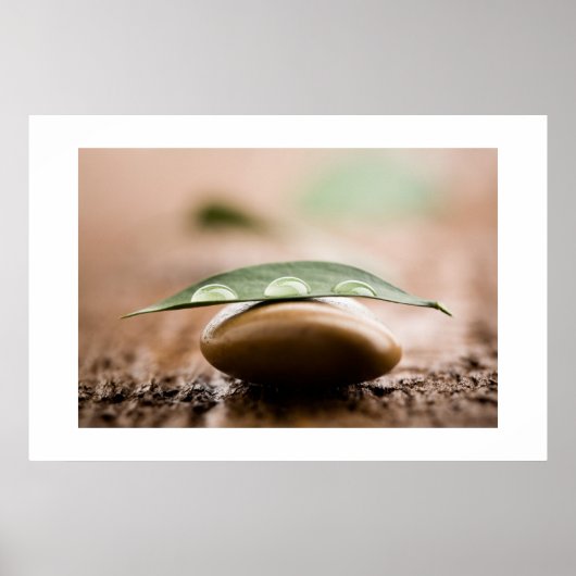 Balans poster/canvas poster (Voorkant)
