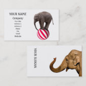 Balansolifant Visitekaartje (Voorkant / Achterkant)