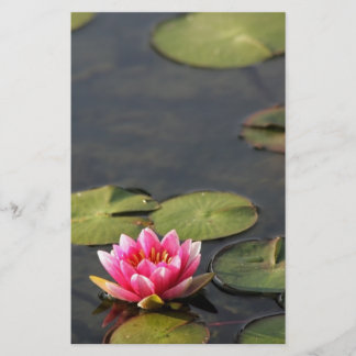 balboa park Lily briefpapier