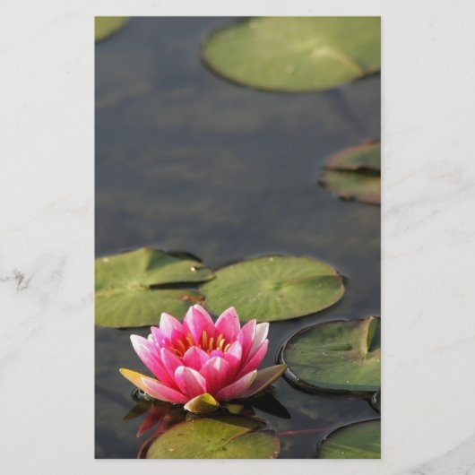 balboa park Lily briefpapier (Voorkant)