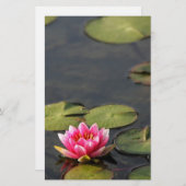 balboa park Lily briefpapier (Voorkant / Achterkant)