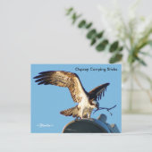 Balbuzard portant des bâtons Carte postale (Debout devant)