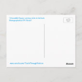 Balbuzard portant des bâtons Carte postale (Dos)