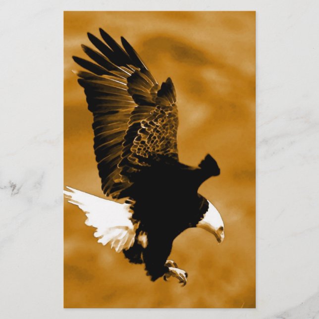 Bald American Eagle (Voorkant)