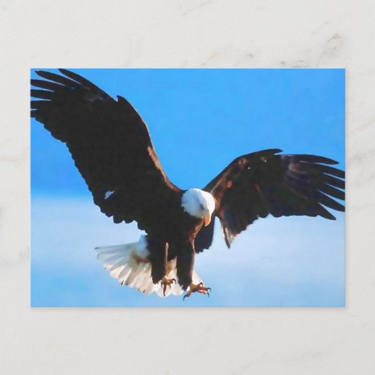 Bald American Eagle Briefkaart (Voorkant)