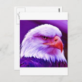 Bald American Eagle Briefkaart (Voorkant / Achterkant)