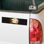 Bald American Eagle Eye Bumpersticker (Op Truck)