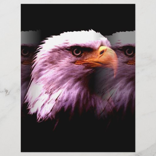 Bald American Eagle Flyer (Voorkant)