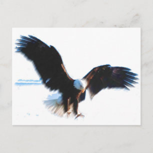 Bald American Eagle Landing Briefkaart