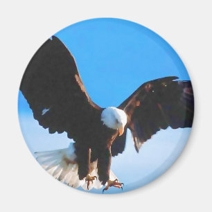Bald American Eagle Magneet