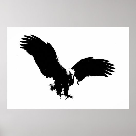 Bald American Eagle Poster Print BW Eagles Posters (Devant)