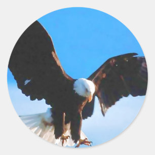 Bald American Eagle Ronde Sticker