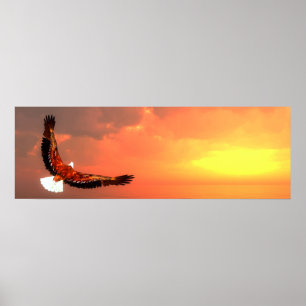 Bald-arend Poster
