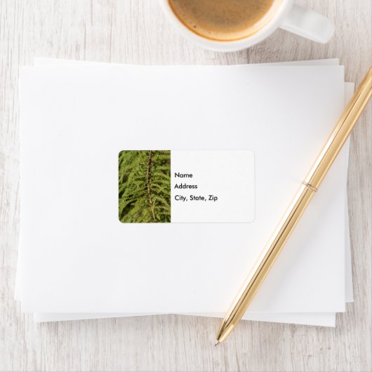 Bald Cypress Branch Etiket (Insitu)