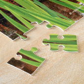 Bald Cypress Knees Legpuzzel (Zijkant)