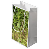 Bald Cypress Seed Cone Klein Cadeauzakje (Achterkant Gekanteld)