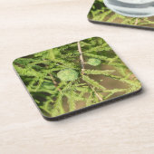 Bald Cypress Seed Cone Onderzetter (Linkerzijde)