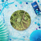 Bald Cypress Seed Cone Papieren Bordje (Feest)