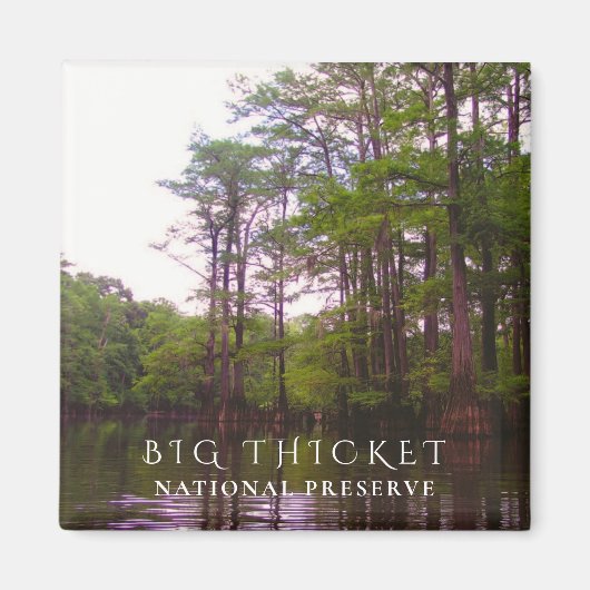 Bald Cypress Swamp, Big Thicket National Preserve Magneet (Voorkant)