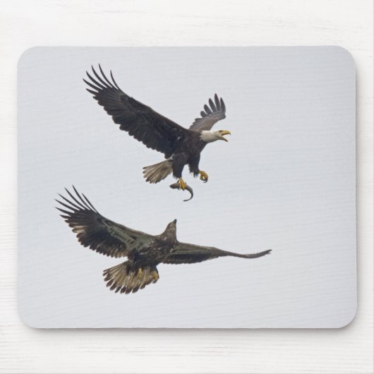 Bald Eagle 11 Mousepad Muismat (Voorkant)
