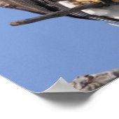 Bald Eagle 2010 Poster (Hoek)