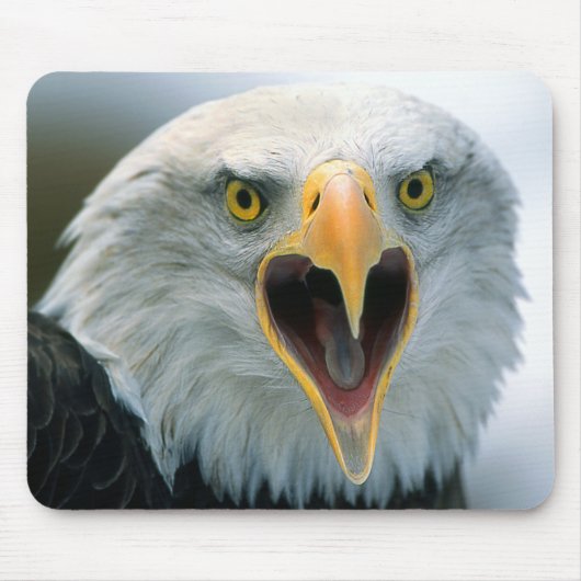 Bald Eagle #2-Mousepad Muismat (Voorkant)