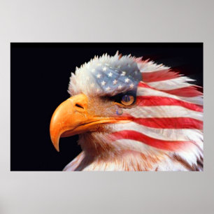 Bald Eagle 4 juillet affiche 13