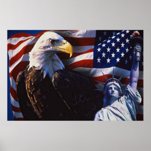 Bald Eagle 4 juli poster 5