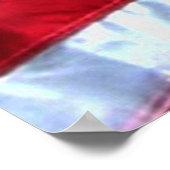 Bald Eagle 4 juli poster 8 (Hoek)