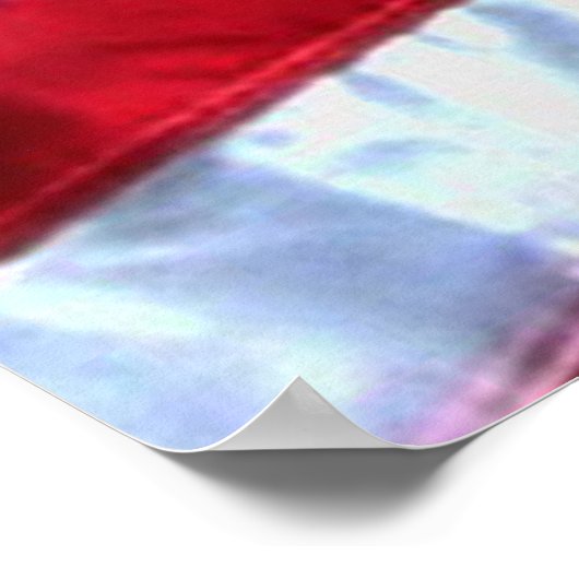 Bald Eagle 4 juli poster 8 (Hoek)