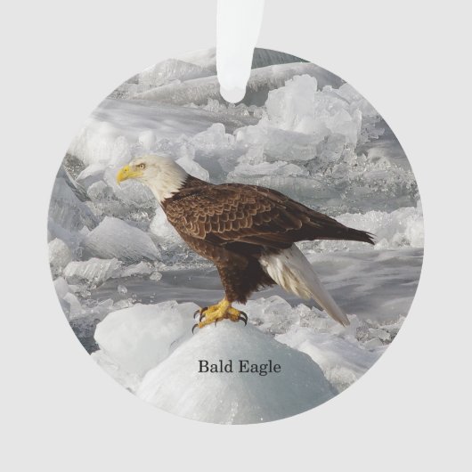 Bald Eagle acrylornamet Ornament (voorkant)