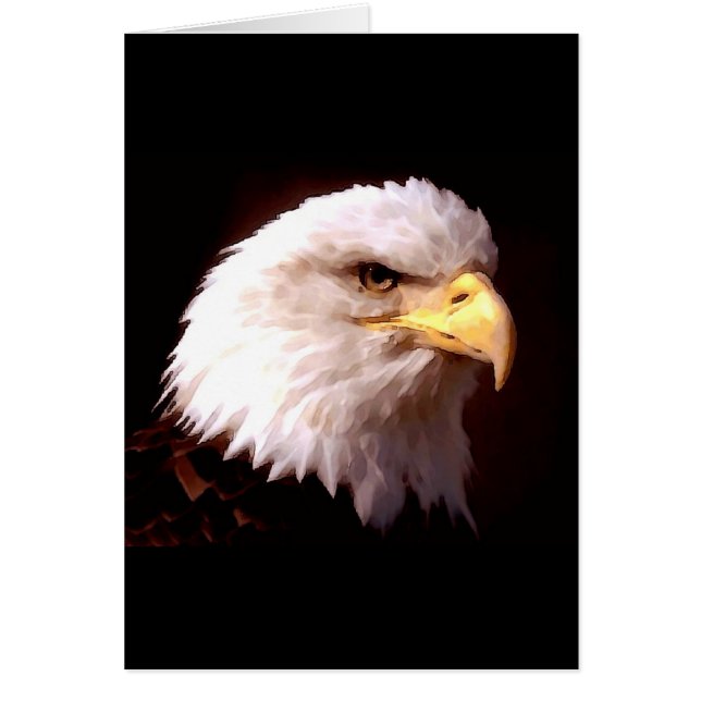 Bald Eagle American Eagle (Voorkant)