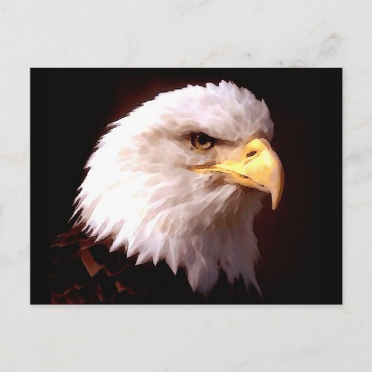 Bald Eagle American Eagle Briefkaart (Voorkant)