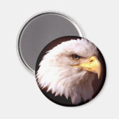 Bald Eagle American Eagle Magneet (Voorkant / Achterkant)