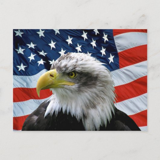 Bald Eagle American Flag Briefkaart (Voorkant)
