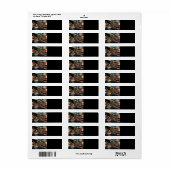 Bald Eagle American Flag Country Road Etiket (Full Sheet)