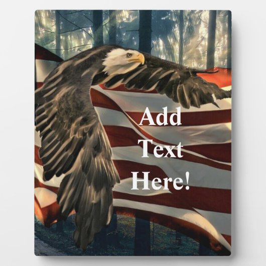 Bald Eagle American Flag Country Road Plaque (Devant)