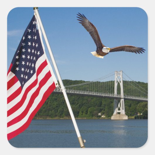 Bald Eagle (Amerikaanse trots) Vierkante Sticker (Voorkant)