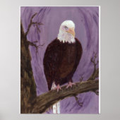Bald Eagle Art Print (Voorkant)