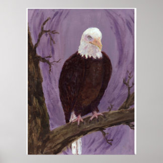 Bald Eagle Art Print