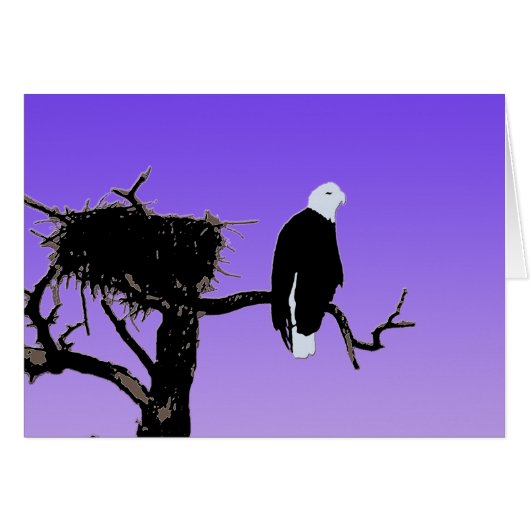 Bald Eagle at Sunset - Art original de la faune (Devant horizontal)