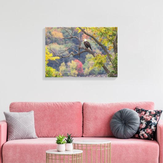 Bald Eagle Autumn Canvas Afdruk (Insitu (Woonkamer))