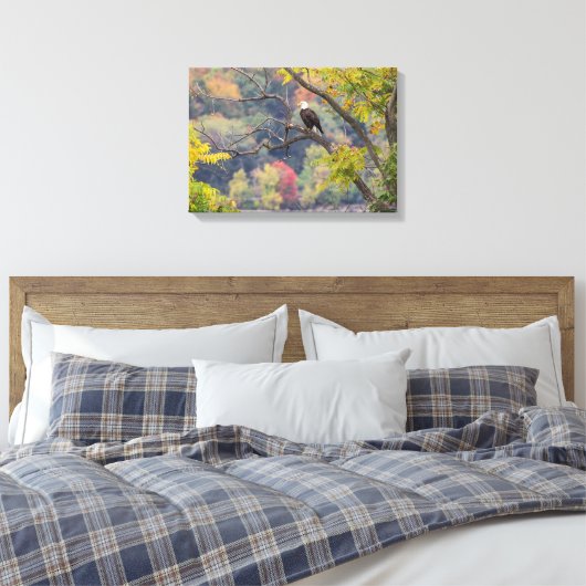 Bald Eagle Autumn Canvas Afdruk (Insitu (Slaapkamer))