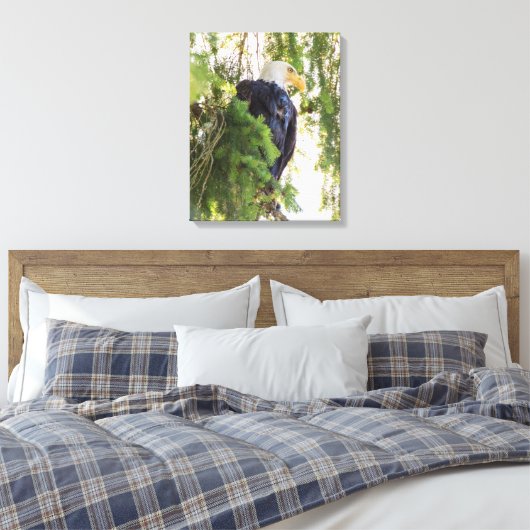 Bald Eagle baarst in Douglas Fir Canvas Afdruk (Insitu (Slaapkamer))