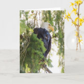 Bald Eagle baarst in Douglas Fir Kaart (Gele Bloem)