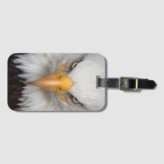 Bald Eagle Bagagelabel (Voorkant (horizontaal))