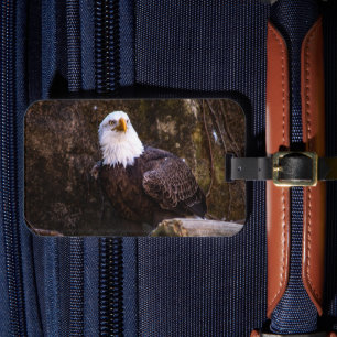 Bald Eagle Bagagelabel