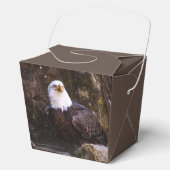Bald Eagle Bedankdoosjes (Voorkant)
