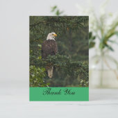 Bald Eagle Bedankkaart (Staand voorkant)
