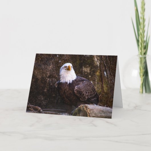 Bald Eagle Bedankkaart (Voorkant)